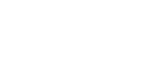 Faez Bouw Logo White